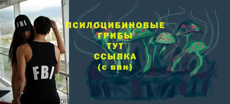 сколько стоит  ОМГ ОМГ как зайти  Псилоцибиновые грибы Cubensis  Анжеро-Судженск 